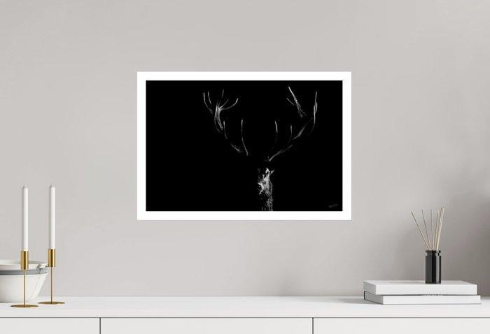 Jeffrey Van Daele - Majestic Shadow, Antiek en Kunst, Kunst | Designobjecten