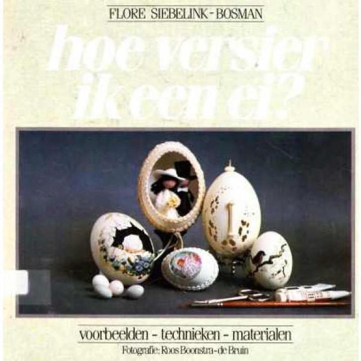 HOE VERSIER IK EEN EI 9789060848685 Siebelink Bosman, Boeken, Hobby en Vrije tijd, Gelezen, Verzenden