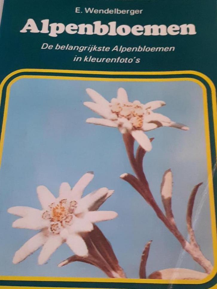 Alpenbloemen 9789003933508 Wendelberger, Boeken, Wetenschap, Zo goed als nieuw, Verzenden
