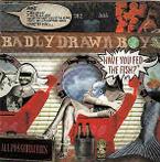 cd - Badly Drawn Boy - Have You Fed The Fish?
