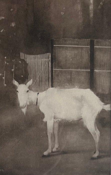 Jan Mankes (1889-1920) - Oude geit, Antiek en Kunst, Antiek | Overige Antiek