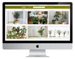 Prachtige planten webshop met NL leverancier €1750, Zakelijke goederen, Exploitaties en Overnames