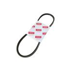 V-snaar, HM31 - Yanmar, Ophalen of Verzenden, Nieuw, Motor en Techniek, Zeilboot of Motorboot