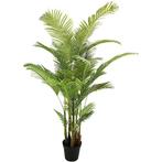 Areca palm 190 cm - Buitengewoon de Boet, Nieuw, Verzenden