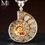 Jurassic Sieraden Collectie Sterling zilveren hanger met