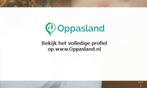 Ik ben Janneke en ik zoek oppaswerk in Malden., Diensten en Vakmensen