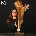 Fossiel > Woolly Mammoth Mammuthus primigenius Een