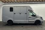 Ford Transit Krismar  Horsetruck, Verzenden, Nieuw