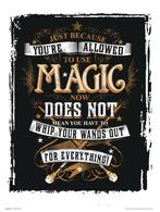 Kunstdruk Harry Potter Magic 30x40cm, Huis en Inrichting, Verzenden, Nieuw