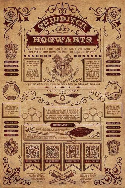 Poster Harry Potter Quidditch At Hogwarts 61x91,5cm, Verzamelen, Posters, Nieuw, A1 t/m A3, Verzenden