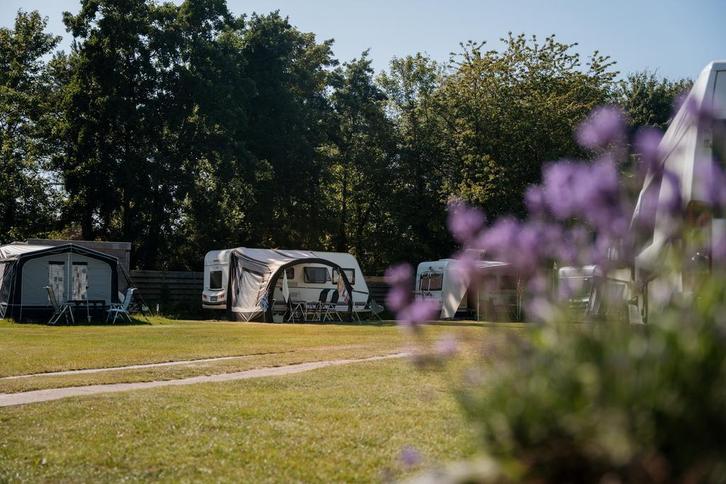 seizoenplaatsen camping 2025 Bakkum, Vakantie, Campings, Aan zee, Afwasmachine, Huisdier toegestaan, Internet, Speeltuin, Wasmachine