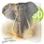 kunststof ruit  Lexan pc glas slagvast helder geen plexiglas