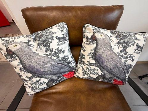 Set van Fluwelen Kussens met Grijze Papegaai – Exotische, Antiek en Kunst, Curiosa en Brocante