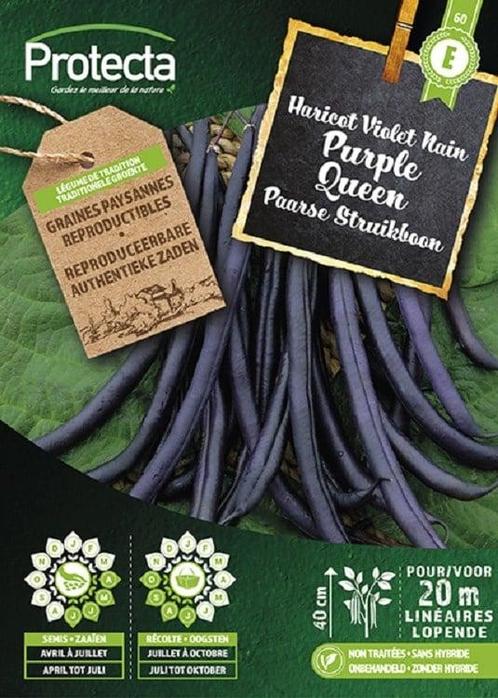 Protecta Groente zaden: Struikboon PURPLE QUEEN, Tuin en Terras, Bloembollen en Zaden, Ophalen of Verzenden