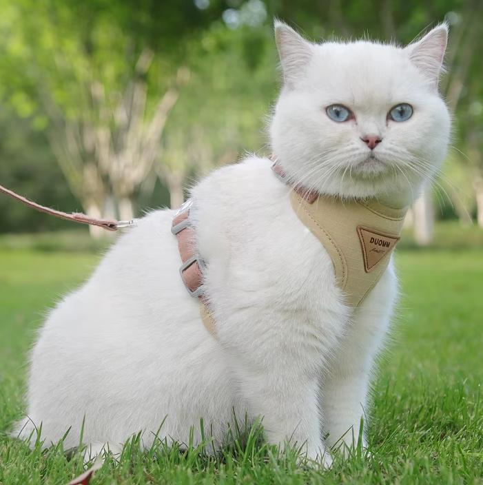 Nylon Harnas met Riem –Ademend Vest voor Katten en Honden, Dieren en Toebehoren, Katten-accessoires, Nieuw, Verzenden