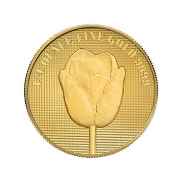 Gouden Nederlandse Tulp munt 1/4 troy ounce beschikbaar voor biedingen