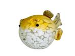 Veiling - Uniek SaMen Art Glass | Puffer Fish Sculpture