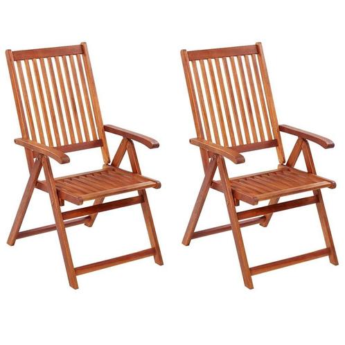 Klapstoelen Acaciahout - Bruin | Retourdeal, Huis en Inrichting, Stoelen, Twee, Bruin, Nieuw, Hout, Ophalen of Verzenden