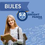 Geschiedenis bijles in Haarlem – beter inzicht, Diensten en Vakmensen, Bijles, Privé-les en Taalles, Privéles, Bijles