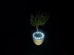 Bloempot verlichting  Plant LED verlichting op BATTERIJ WIT, Diversen, Kerst, Nieuw, Ophalen of Verzenden