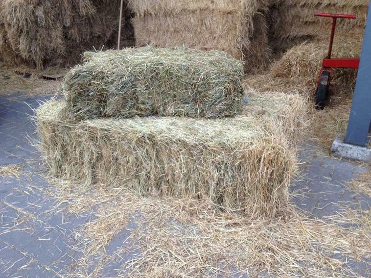Weidehooi/kruidenhooi | NL | FR | DE | ( GEANNALYSEERD ) !, Dieren en Toebehoren, Dierenvoeding, Vee, Ophalen of Verzenden