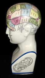 Hoofd ornament - Groot model Phrenology Hoofd, Antiek en Kunst
