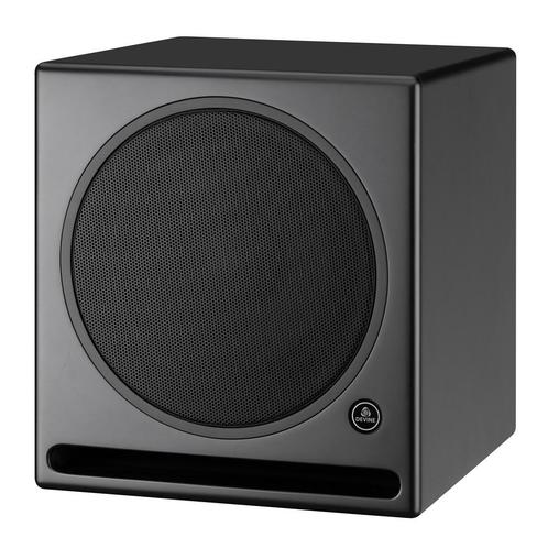 Devine RX-10SA Black actieve studio subwoofer (per stuk), Audio, Tv en Foto, Luidsprekers, Verzenden