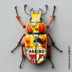 F2B - BeetleCan Haribo 1I8