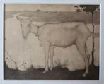 Jan Mankes (1889-1920) - Geit Heliogravure. Ingelijst., Antiek en Kunst