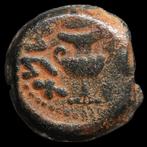 Judaea. Jewish War. Prutah Amphora  Vine leaf 67/68, Postzegels en Munten