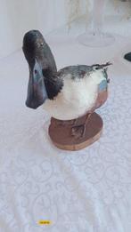 anas Taxidermie volledige montage - Anas clypeata - 30 cm -, Verzamelen, Nieuw