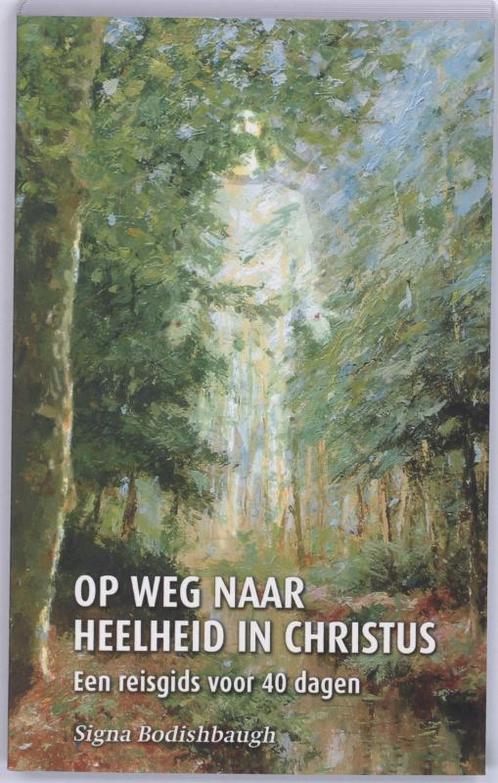 OP WEG NAAR HEELHEID IN CHRISTUS 9789080758612, Boeken, Godsdienst en Theologie, Gelezen, Verzenden