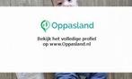 Ilse zoekt een oppas in Dordrecht voor 1 kind.