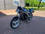 Suzuki - GS 500 E - NO RESERVE - 500 cc - 1994