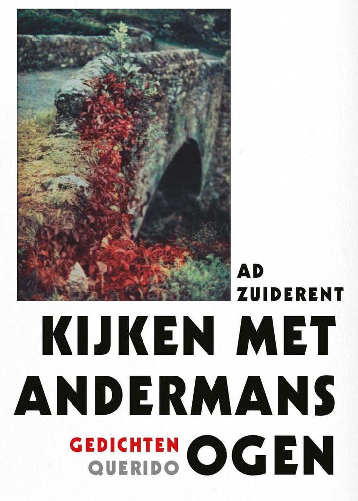 Kijken met andermans ogen 9789021467856 Ad Zuiderent, Boeken, Gedichten en Poëzie, Zo goed als nieuw, Verzenden