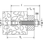Fischer 45265 FBN II doorsteekanker 12/80 - M12 x 176mm, Doe-het-zelf en Verbouw, IJzerwaren en Bevestigingsmiddelen, Ophalen of Verzenden