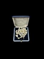 Rozenkrans - Paus Johannes Paulus II Privé-audiëntie