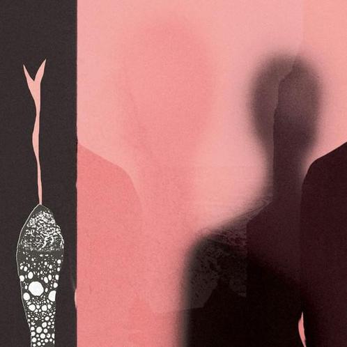 LP nieuw - H. Hawkline - In The Pink Of Condition, Cd's en Dvd's, Vinyl | Rock, Verzenden