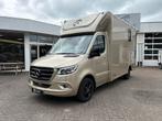 Mercedes Sprinter Automaat Sodiak Nubia Hengstenuitvoering, Ophalen, Zo goed als nieuw, Polyester, 2-paards trailer