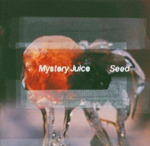 cd - Mystery Juice - Seed, Cd's en Dvd's, Cd's | Overige Cd's, Zo goed als nieuw, Verzenden