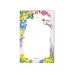 Notitieblok kolibrie, Nieuw