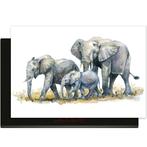 Elephant Family - Inductie Beschermer, Verzenden, Nieuw
