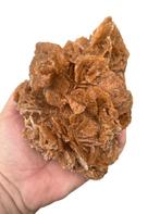 roos van de woestijn Ruw- 1 kg - (50)