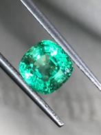 1 pcs Groen Smaragd - 1.46 ct - International Gemological, Sieraden, Tassen en Uiterlijk, Nieuw
