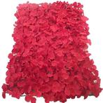 Flowerwall 40x60 cm Rood Kant en Klaar, Hobby en Vrije tijd, Ophalen of Verzenden, Nieuw