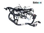 Kabelboom Ducati Diavel S 2019-2022 (5101G581A), Verzenden, Gebruikt