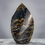 Natuurlijk fossiele koralen-vlam uit Peru. Een tijdloos, Verzamelen, Mineralen en Fossielen