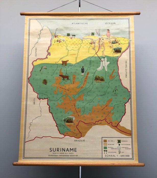 Dijkstra’s Uitgeverij Zeist - Suriname - W. Bakker en H., Antiek en Kunst, Curiosa en Brocante