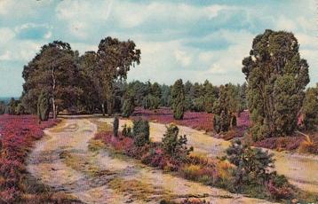 OOSTERBEEK - Heidelandschap Groeten uit Oosterbeek beschikbaar voor biedingen