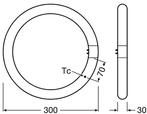 Ledvance LED T9 24W/865 2900lm G10q | Vervangt TL-E 40W/8..., Nieuw, Ophalen of Verzenden